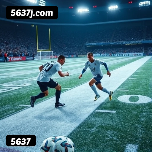 Níveis do programa VIP da 5637